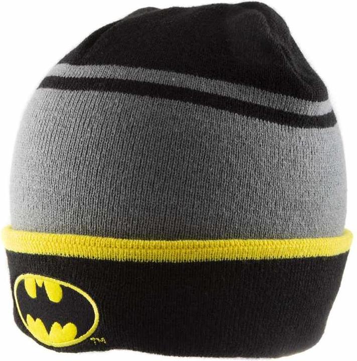 Actual product image Batman Logo Beanie (One size)