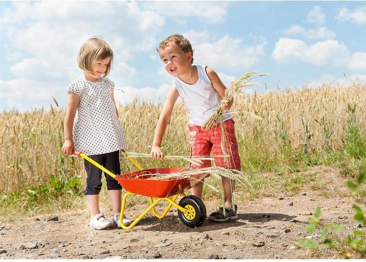 Actual product image Rolly Toys Children's wheelbarrow made of metal, red
