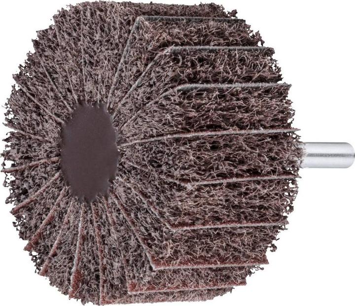 Image du produit Lukas LUKAS-ERZETT A2204040306104 Fächerschleifer SFM universal 40x30 mm Schaft 6 mm K (80, 100)