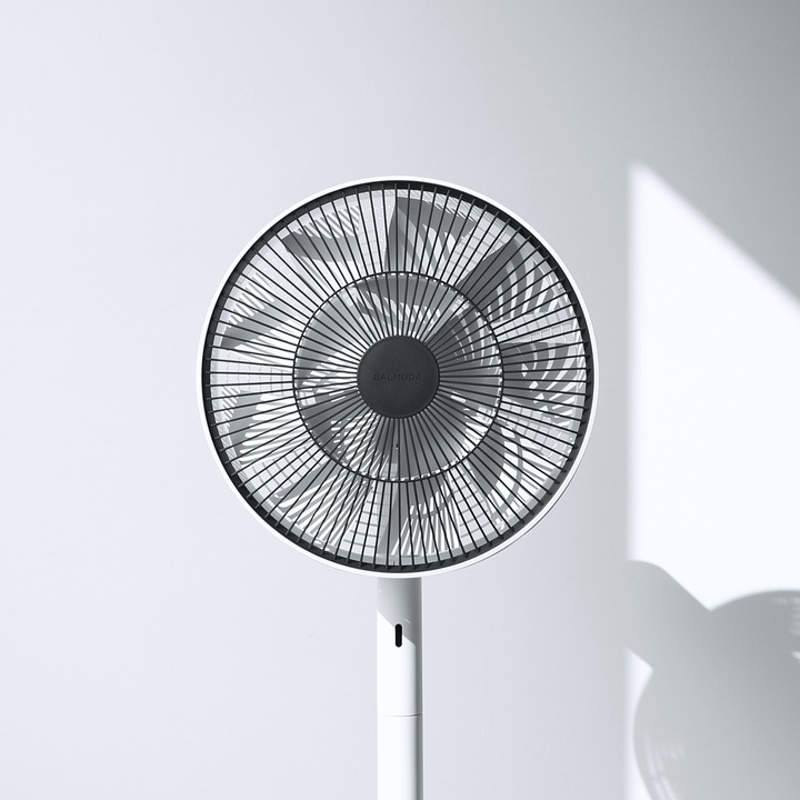 Actual product image Balmuda The Green Fan (13 dB)