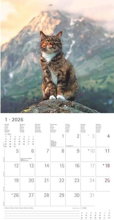 Image du produit Alpha Edition Katzen 2026 - Broschürenkalender 30x30 cm (30x60 geöffnet) - Kalender mit Platz für Notizen - Cats (30 x 30 cm, Couverture rigide, Allemand, Espagnol, Français, Néerlandais, Italien, Anglais)