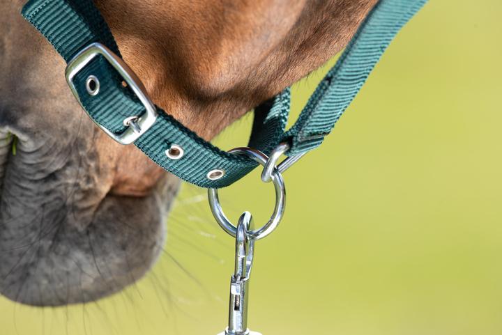 Produktbild HFI Master First