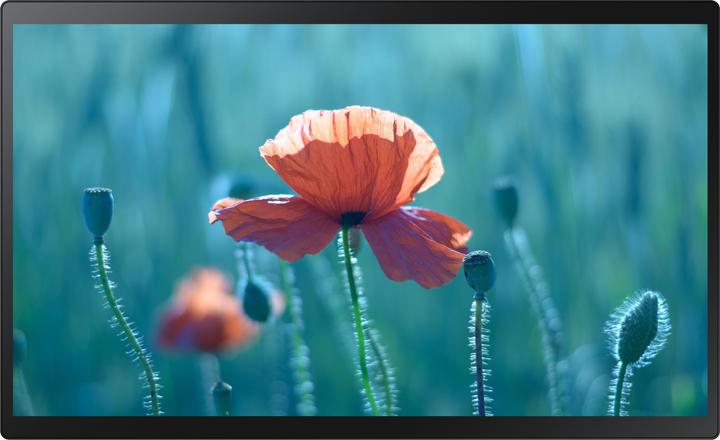 Samsung QB24R-TB (1920 x 1080 Pixel, 23.80")