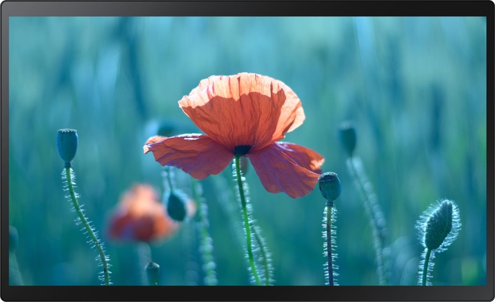 Image du produit Samsung QB24R-TB (1920 x 1080 pixels, 23.80")