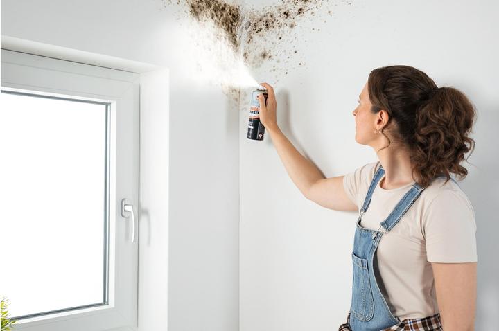 Image du produit Schimmelschock Spray anti-moisissures 300 ml