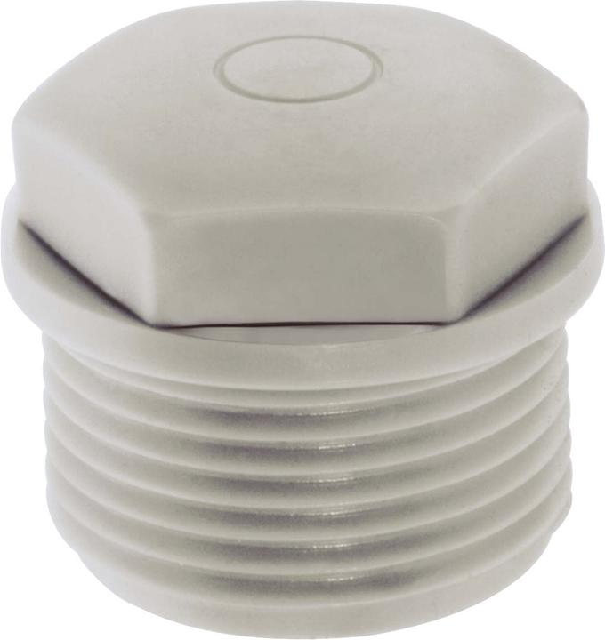 Actual product image Lapp 52020543 (M32)