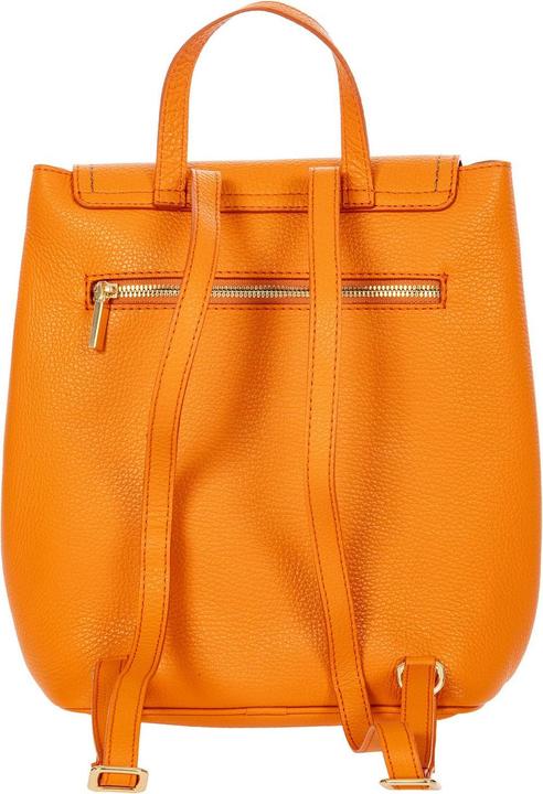 Actual product image Brics Gondola Tiglio Zaino Backpack