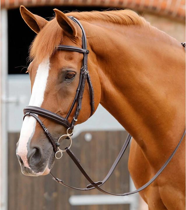 Immagine prodotto Premier Equine Delizioso