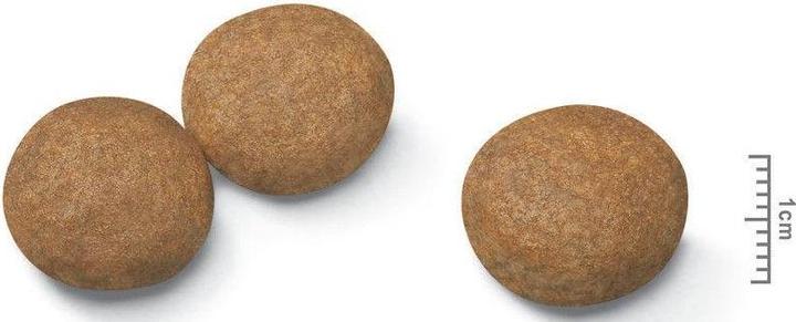 Immagine prodotto Royal Canin Adulto medio (Adulto, 1 pz., 15000 g)