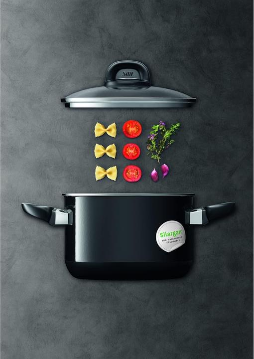 Actual product image Silit Kochtopf Fleischtopf Induktion 16cm Glasdeckel 2,0l Modesto Line Silargan (Pot, Silargan, 16 x 17.50 cm)