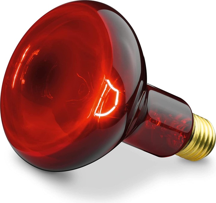 Actual product image Sanitas SIL 06 (100 W)