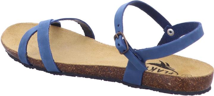 Immagine prodotto Plakton 575029 Limnea (40)