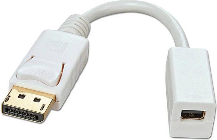 Produktbild Lindy DisplayPort zu (Mini DP, 15 cm)