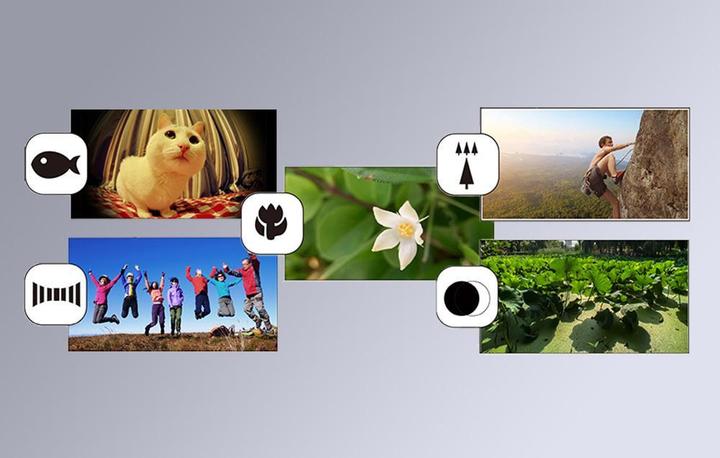 Actual product image Apexel APL-DG5H 5-in-1 Mobile Lens Kit