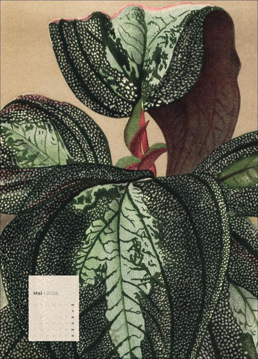 Produktbild Botanicals Kalender 2026 (49 x 68 cm)