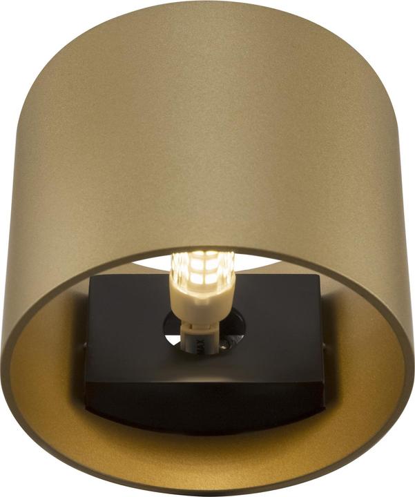 Image du produit Maytoni Applique Rond G9 or mat (G9)