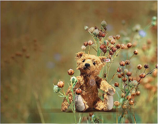 Image du produit Steiff Teddies for tomorrow Linus Ours en peluche, brun-rouge (35 cm)