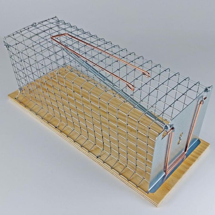 Produktbild Swissinno Lebendfalle Rat Classic 1 St.