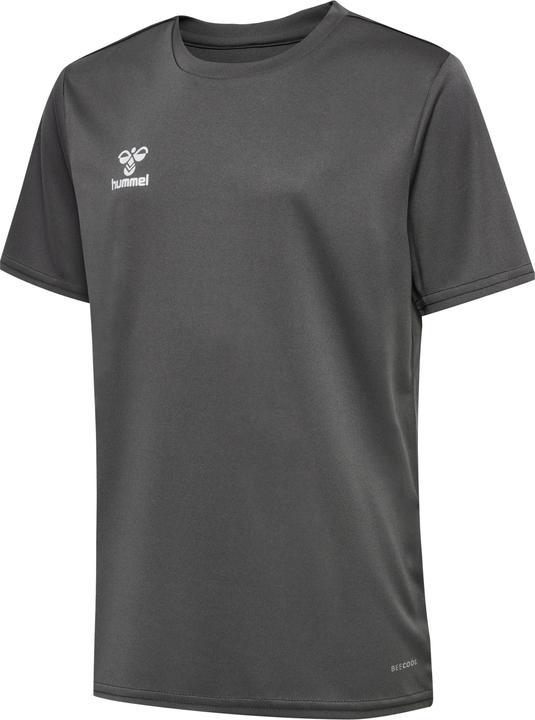 Steelgray