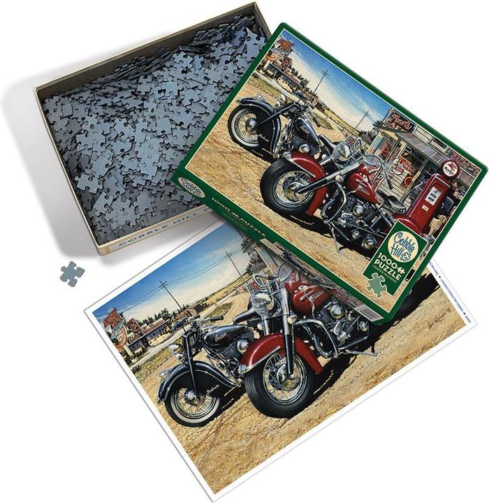 Immagine prodotto Cobble Hill Puzzle 1000 pezzi Due per la strada (1000 pezzi)