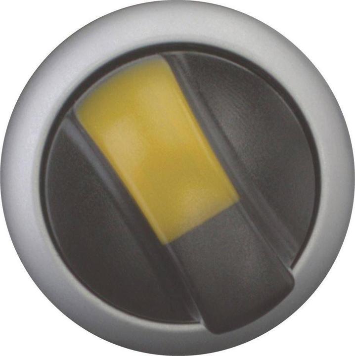 Actual product image Eaton Selector button, 2 positions, illuminated