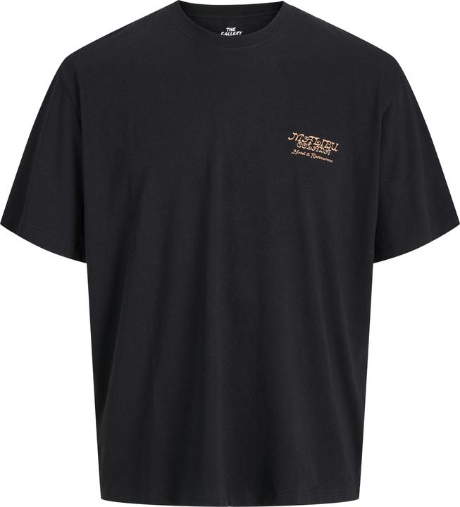 Image du produit Jack & Jones Jorbotaniq Tee Ss Crew Neck Tg Ln (M)