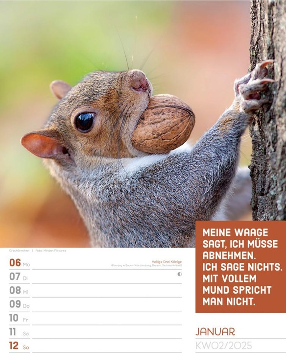 Produktbild Tierisch! Sprüchekalender - Wochenplaner Kalender 2025 (25 x 33 cm, Harter Einband, Deutsch)