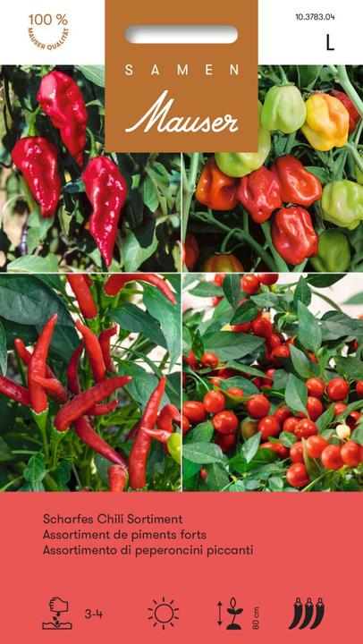 Immagine prodotto Samen Mauser Assortimento di peperoncini (Semi di verdura)