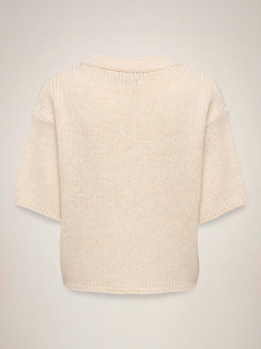 Actual product image JdY Jdylinea S/S Pullover O-Neck Knt Noos (S)
