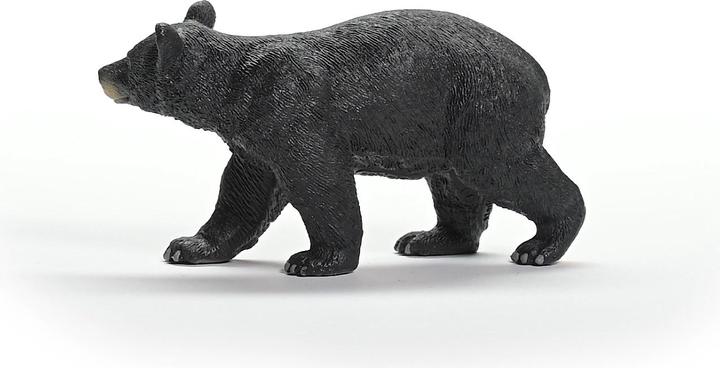 Image du produit Schleich Ours noir américain