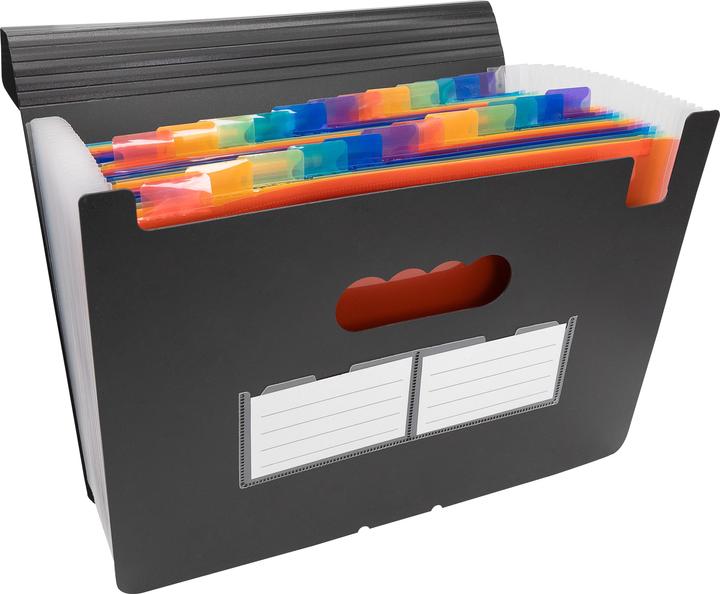 Actual product image Idena Document folder A4 24 compartments black (A4, 1x)