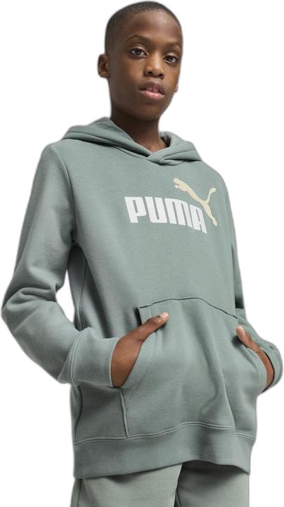 Image du produit Puma ESS 2 COLOR No. 1 Logo Hoodie FL B (152)