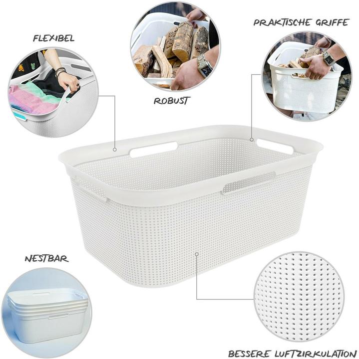 Actual product image Rotho Breezes (41 l)