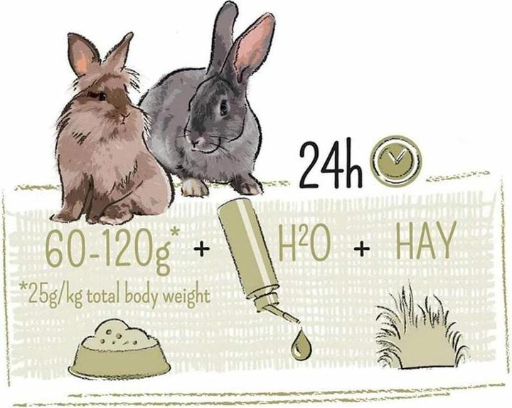 Image du produit Witte Molen Puur (3 kg, 1 x)