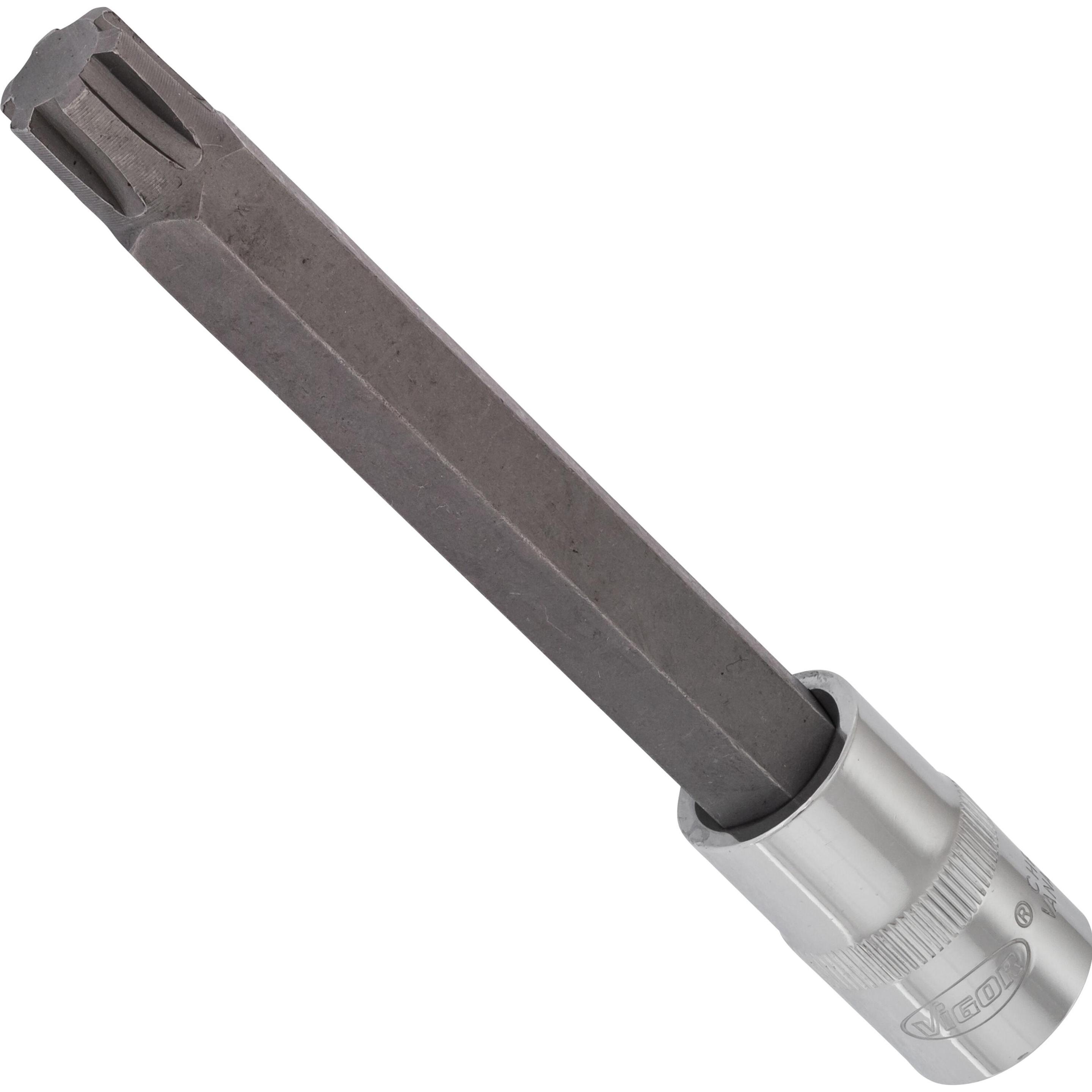 Vigor, Steckschlüssel + Stecknuss, RIBE Schraubendreher-Einsatz ∙ V2226 ∙ Vierkant12,5 mm (1/2 Zoll) ∙ Innen Keilprofil ...