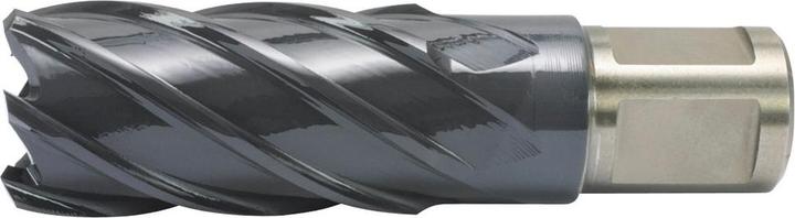 Produktbild Alfra Kernbohrer HSS-Co RQX 30/50mm (30 mm)