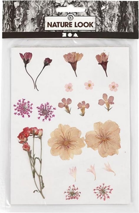 Creativ Company Pressé (Fleurs séchées)