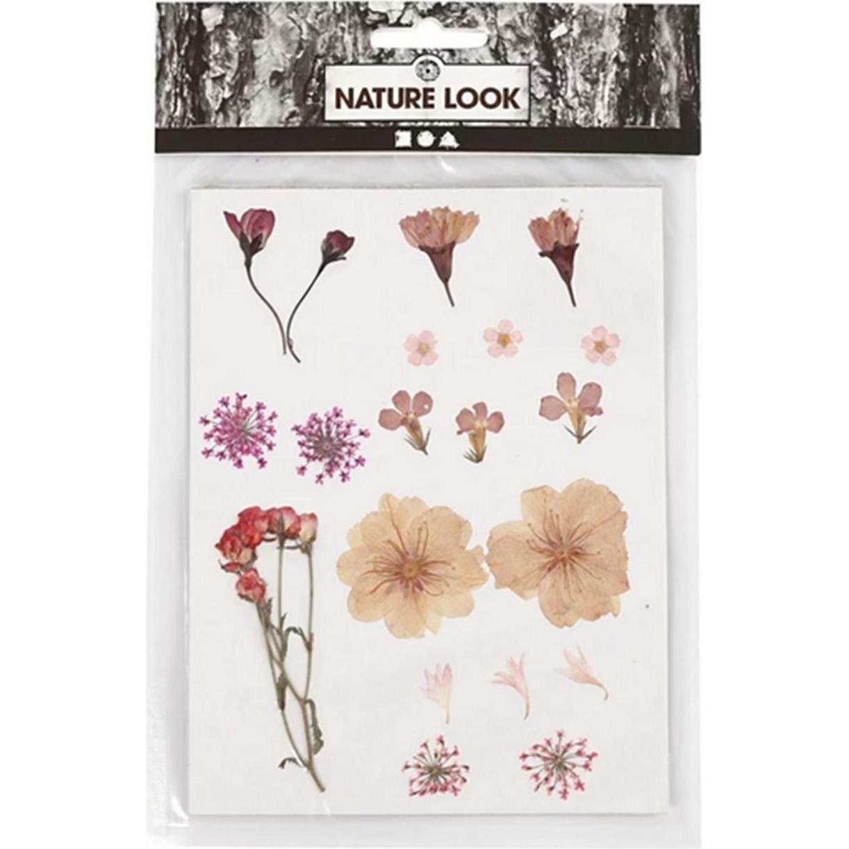 Creativ Company, Blumenstrauss, Gepresste (Trockenblumen)