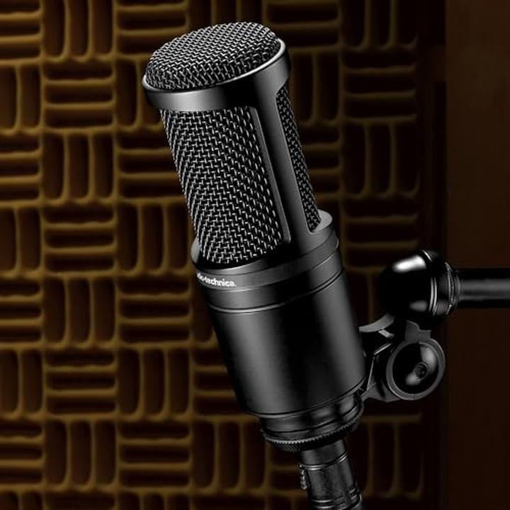Produktbild Audio-Technica At2020