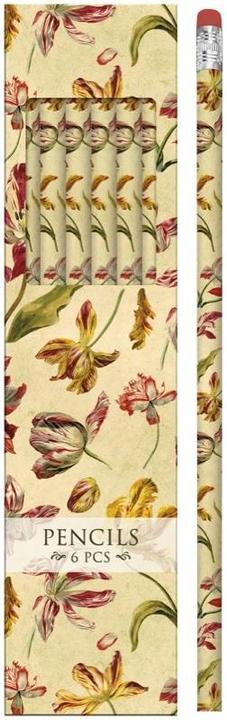 Amscan Dekostifte STPEN16 Tulpen - Set à 6 Stück (6 x)