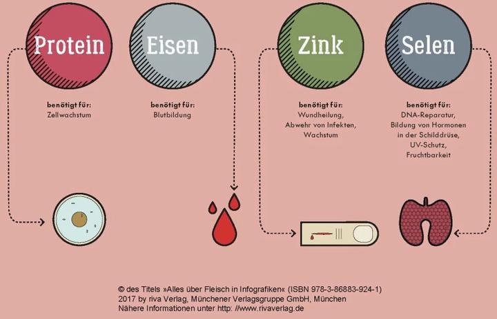 Produktbild Alles über Fleisch in Infografiken (Deutsch, Daniel Wiechmann, 2017)