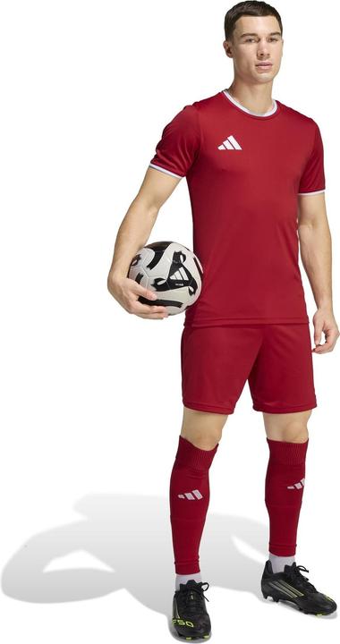 Actual product image Adidas Entrada T-Shirt (XL)