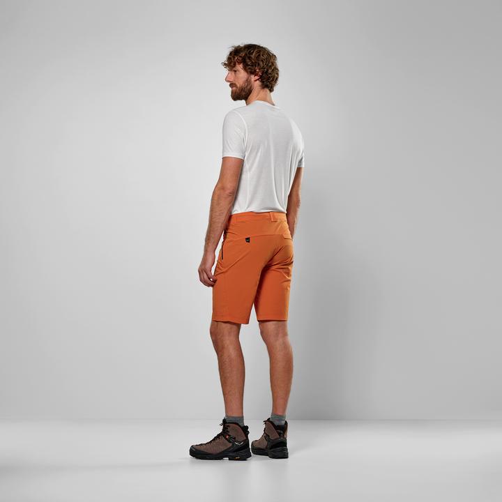 Actual product image Salewa Puez Talveno Durastretch Shorts (S)