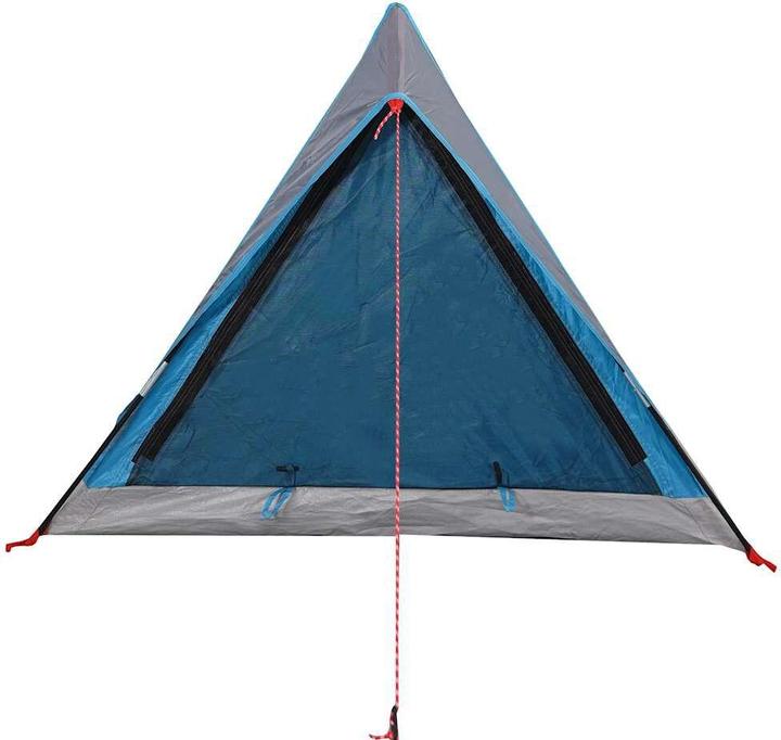 Actual product image vidaXL Mabbina (Dome tent, 1.60 kg, 2 persons)