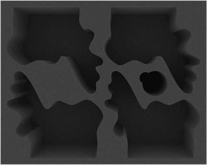 Actual product image Feldherr FSMEIU085BO - Foam insert for Dark Souls: The Four Kings (Foam material)