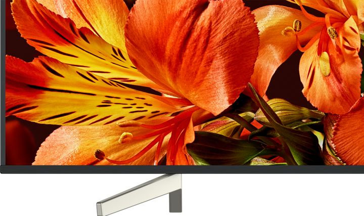 Actual product image Sony Kd-85xf8596 (85", LCD, 4K, 2018)