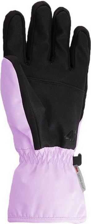Produktbild 4F Skihandschuhe FNK F099 (XL)
