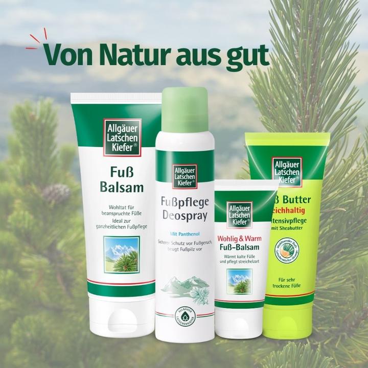 Image du produit Dr. Theiss Beurre de pied de pin de montagne d'Allgäu, 100 ml CRE (Crème et gel pour les pieds, 100 ml)
