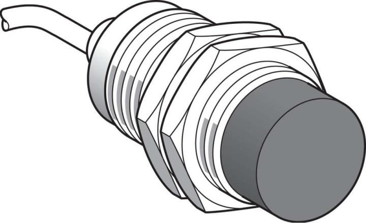 Actual product image Schneider Electric Proximity switch inductive XS4P30AB120 (Switch)