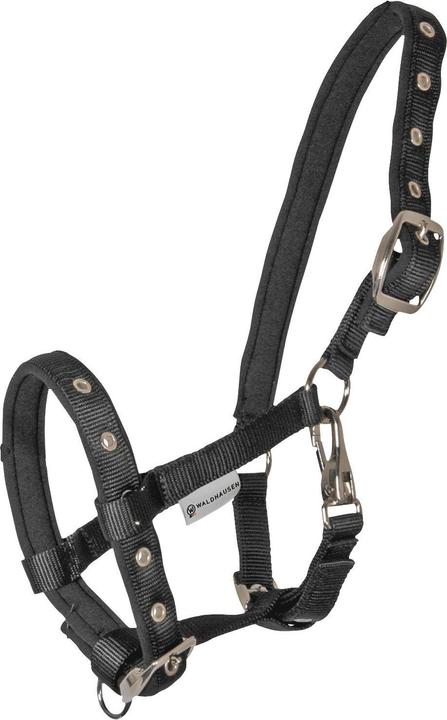 Waldhausen Fohlenhalfter Comfort